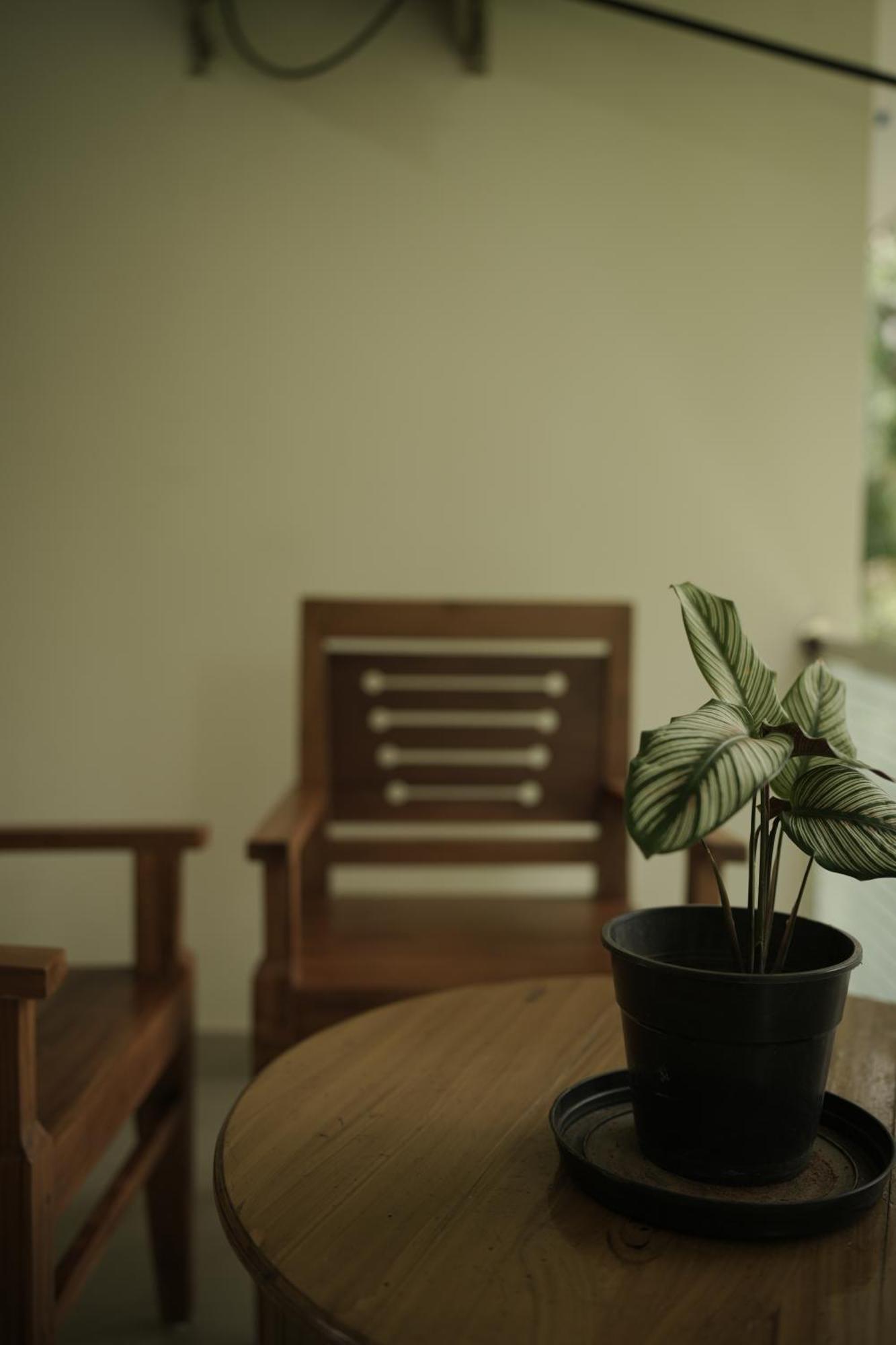 Homestay Skylounge Residency